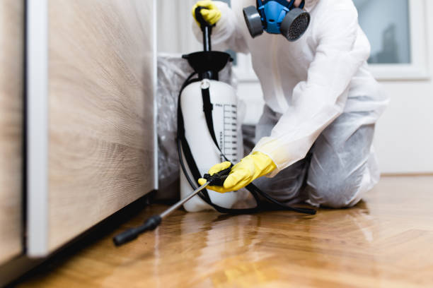 Best Local Pest Control Services  in Woodville, FL