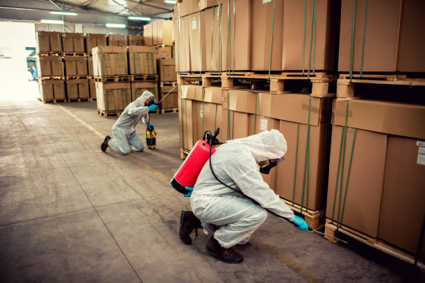 Best Affordable Pest Control Services  in Woodville, FL