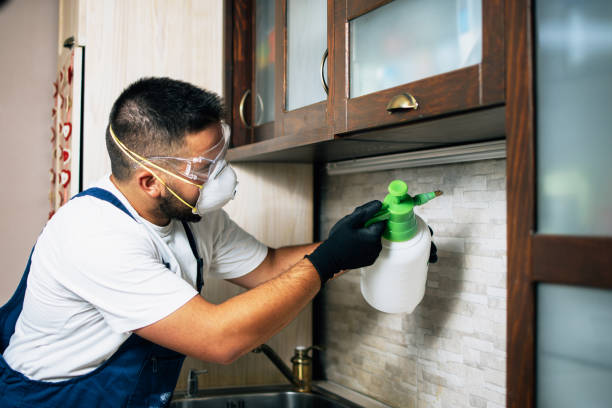 Best Commercial Pest Control Services  in Woodville, FL