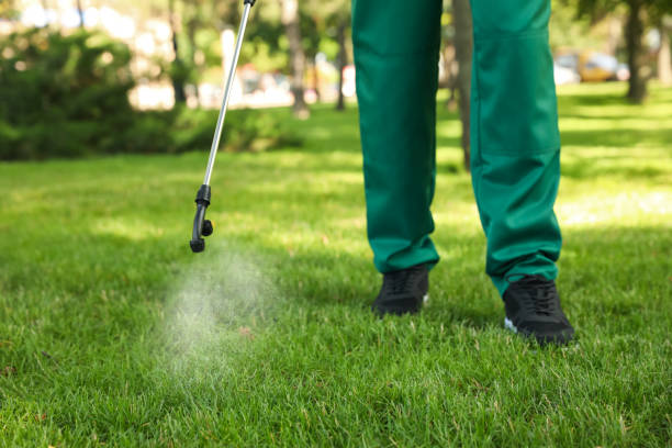 Best Exterminator Services  in Woodville, FL