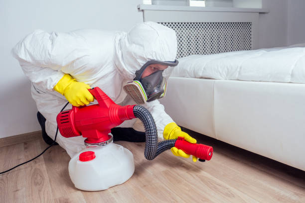 Best Flea Control Services  in Woodville, FL