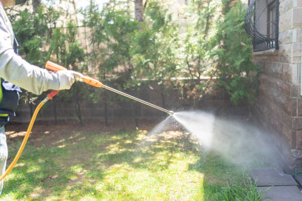 Best Wasp Removal Services  in Woodville, FL