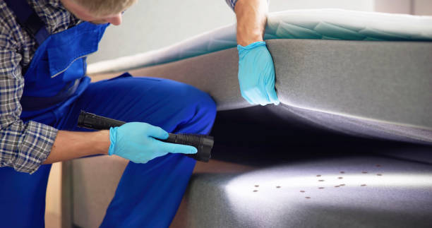 Best Pest Control for Restaurants  in Woodville, FL