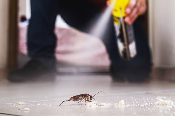 Trusted Woodville, FL Pest Control Experts
