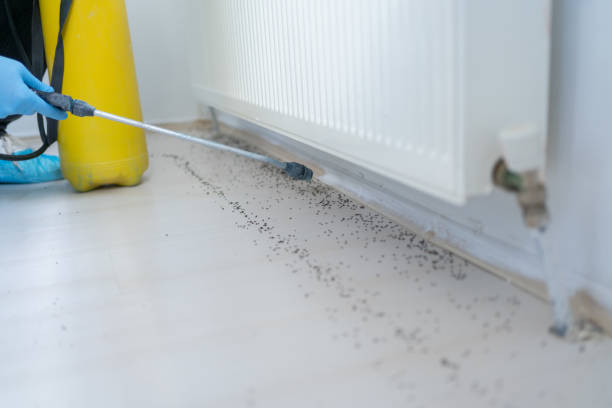 Best Wildlife Control Services  in Woodville, FL