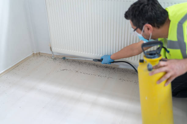 Best Rat Extermination Near Me  in Woodville, FL