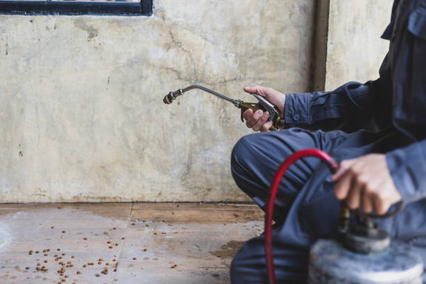 Best Pest Control Near Me  in Woodville, FL
