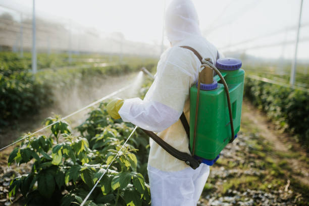 Best Ant Control Services  in Woodville, FL